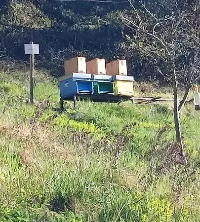 I Pellegrini Della Casela * Bordogna