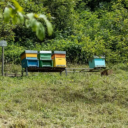 B&B I Pellegrini Della Casela *